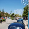Montevago 2010 (338)